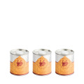 Confezione da 3 Lattine da 0,25 l. 